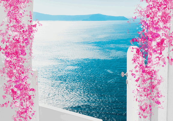 Canva Design Canva Design