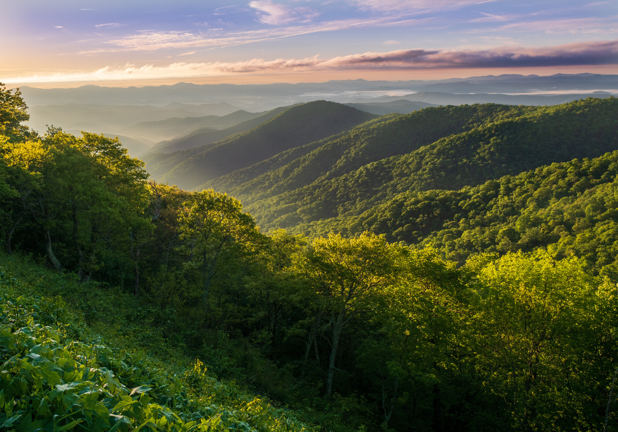 Blue Ridge Mountain Sunrise Sunrise near Mt. Pisgah, NC over Appalachian Mountains along Blue Ridge Parkway